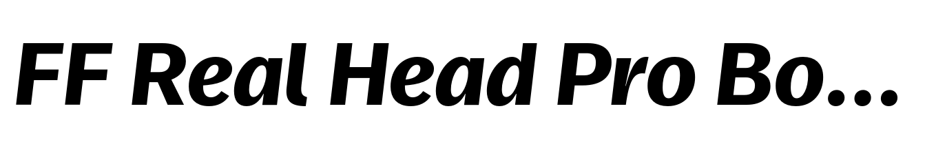 FF Real Head Pro Bold Italic